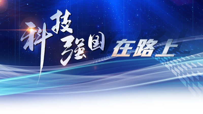 供应链管理系统：揭秘其核心价值与选型关键